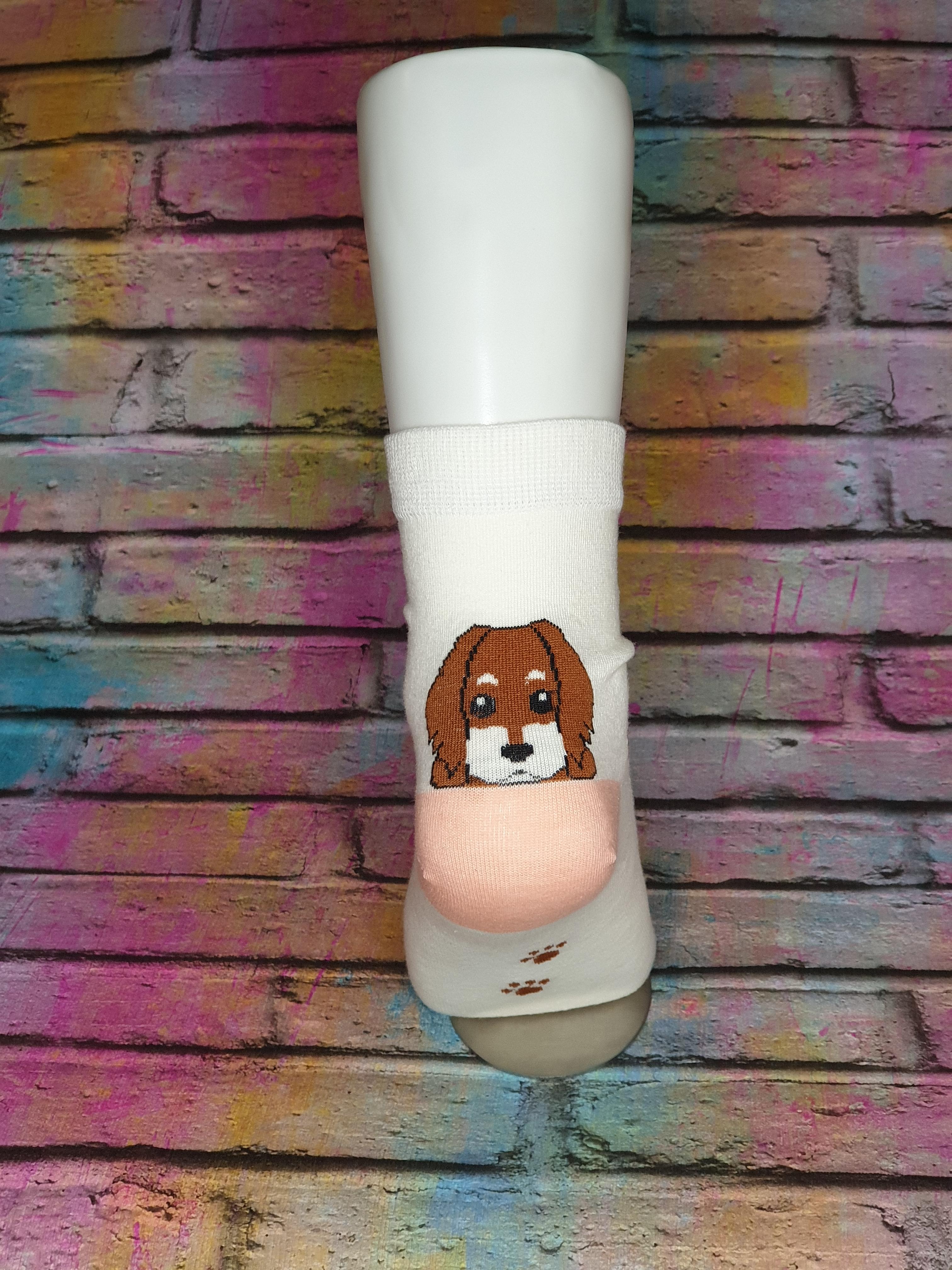 sam dog socks