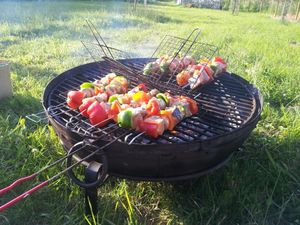 70cm Fire Bowl Set on Stand with Grill and Food