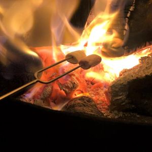 Marshmallows Cooking in a Log Fire