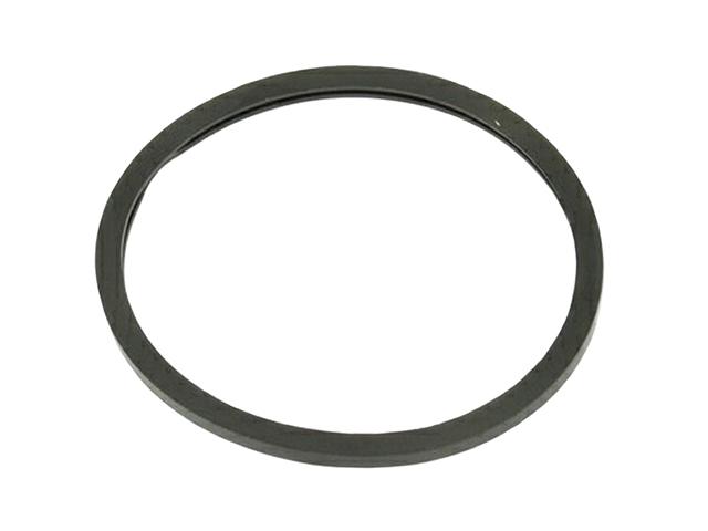 This is an image of Scania Thermostat Sealing Ring 170205 102193 HGV Truck Part