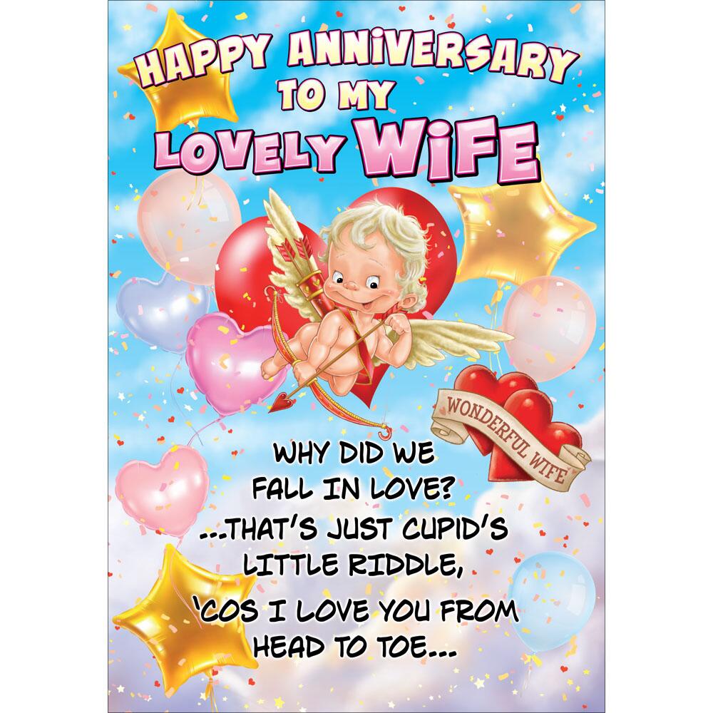 anniversary greeting card featuring humour illustration for a wife from the up your street range