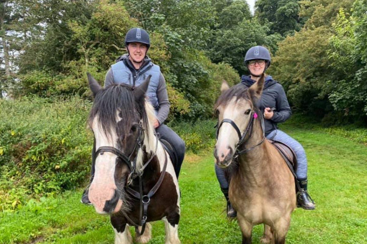 50 Minute Horse Riding Trek With Afternoon Tea For Two At Charnwood Forest Alpacas