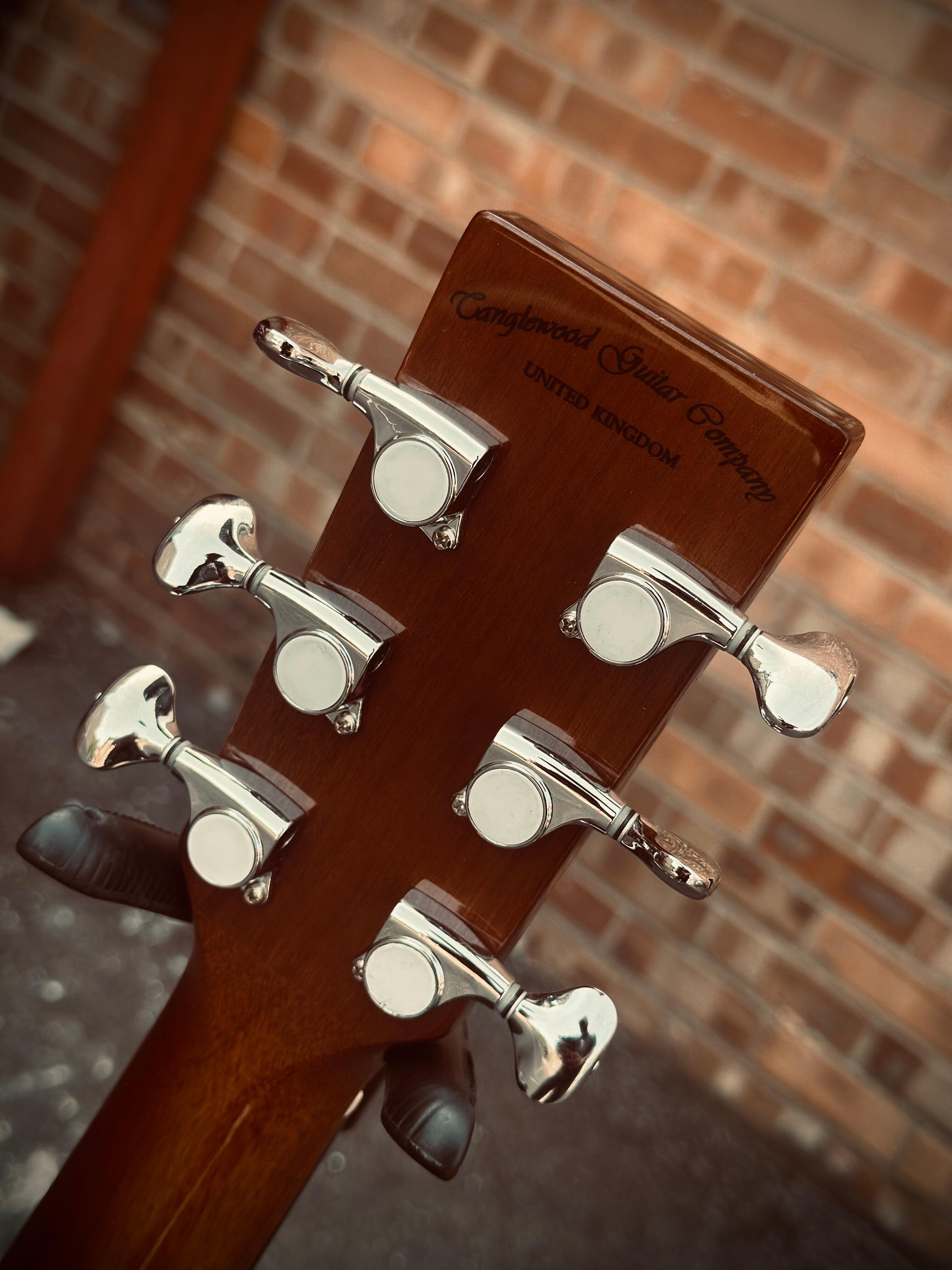 ブレスレット EOU STUDIO TANGLE PLANT B2 TW5CEAVB – Tanglewood Guitars