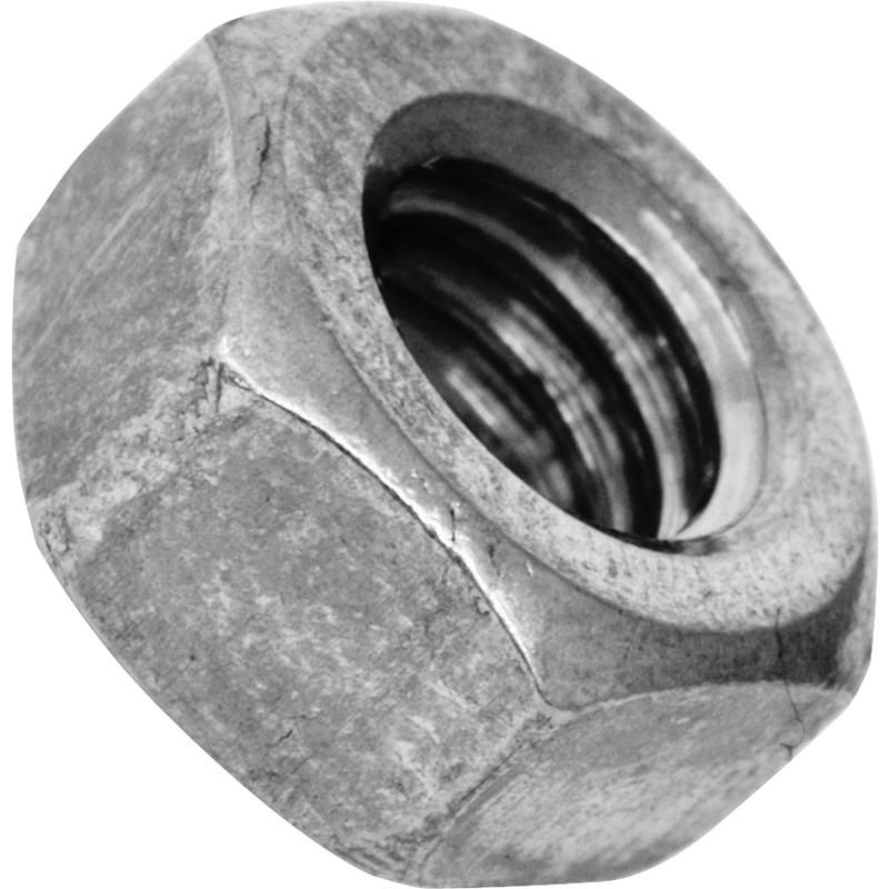 stainless steel nuts