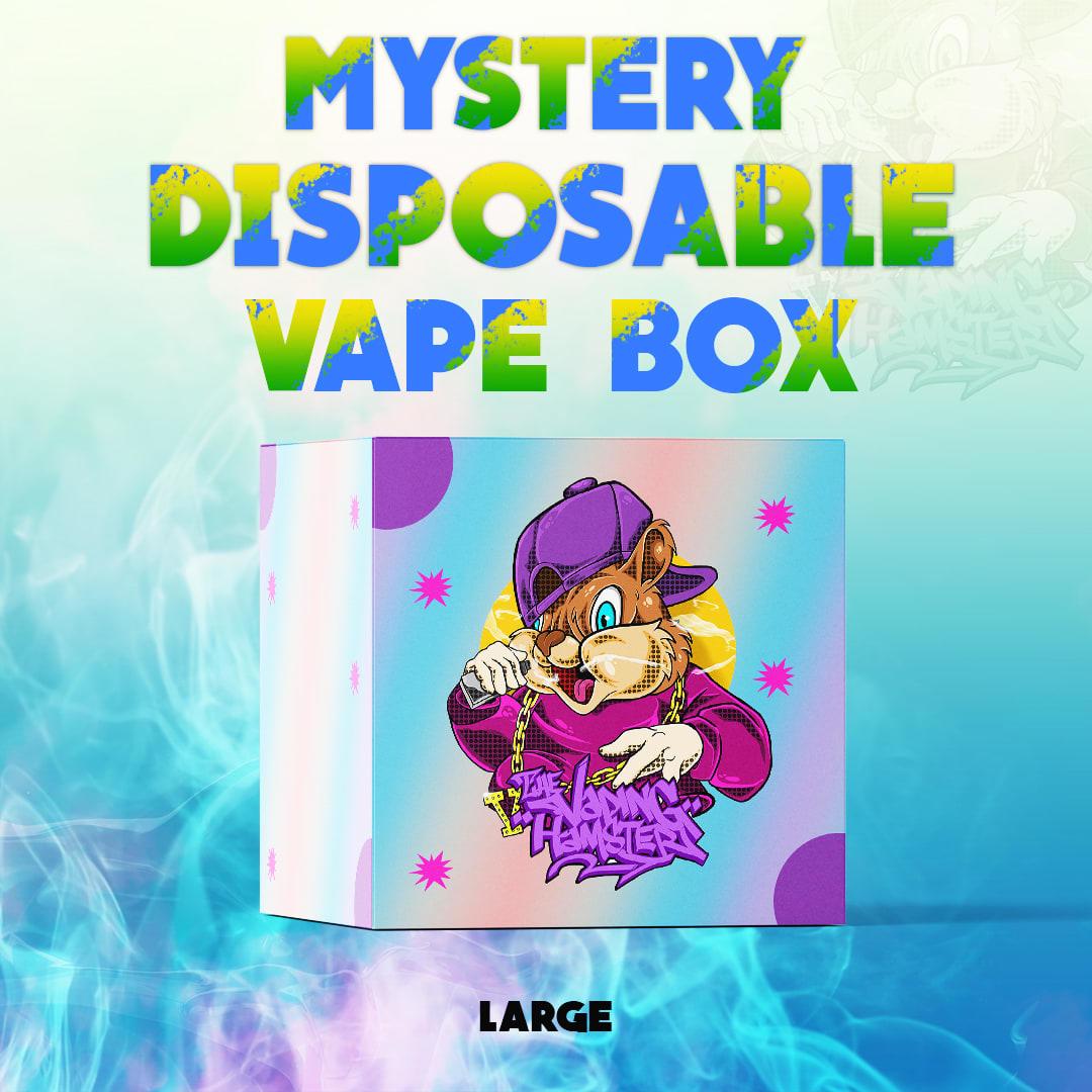 Large Mystery Disposable Vape Box