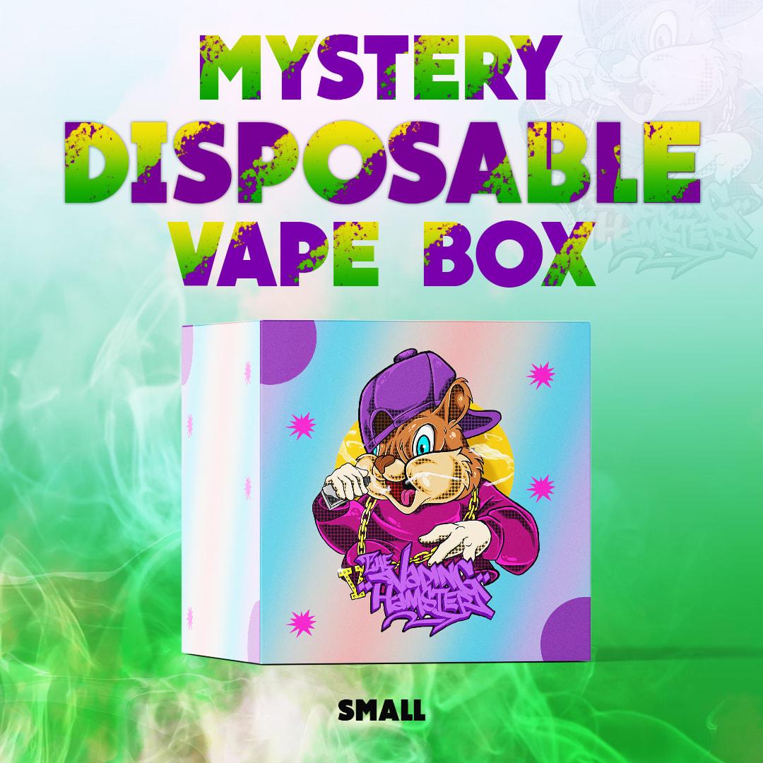 Small Mystery Disposable Vape Box