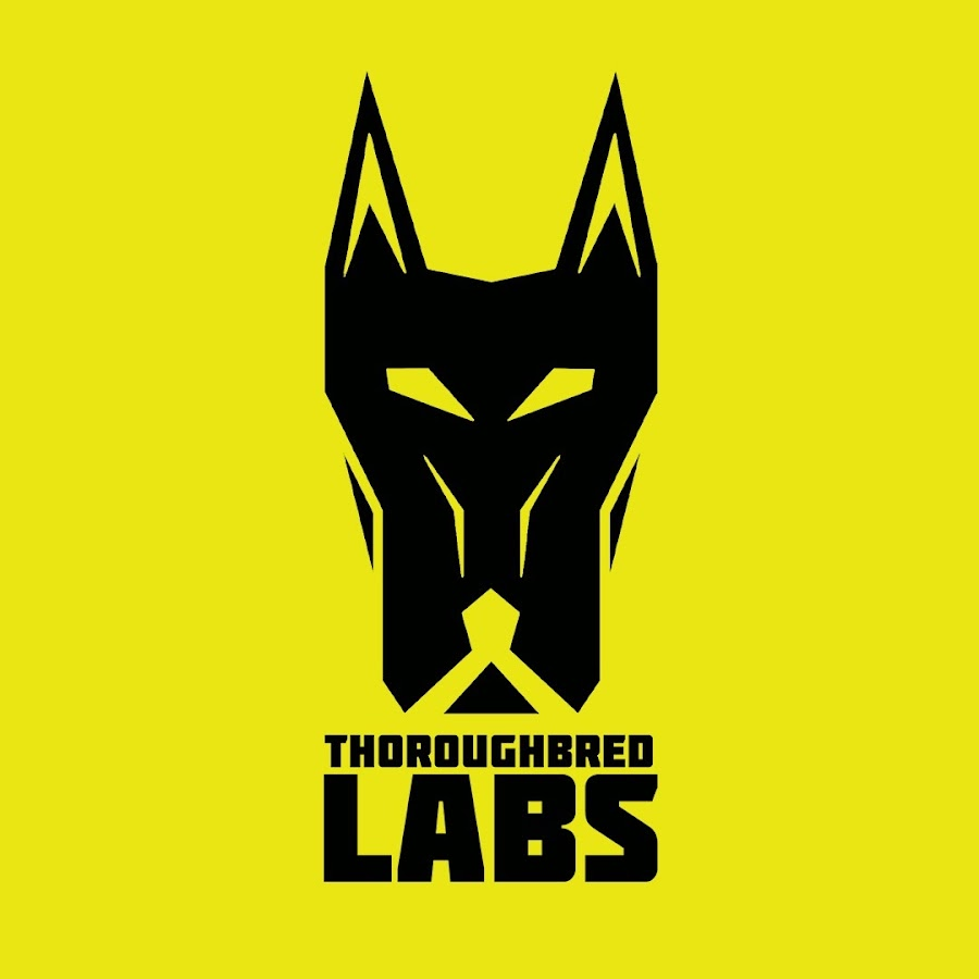 Thoroughbred Labs