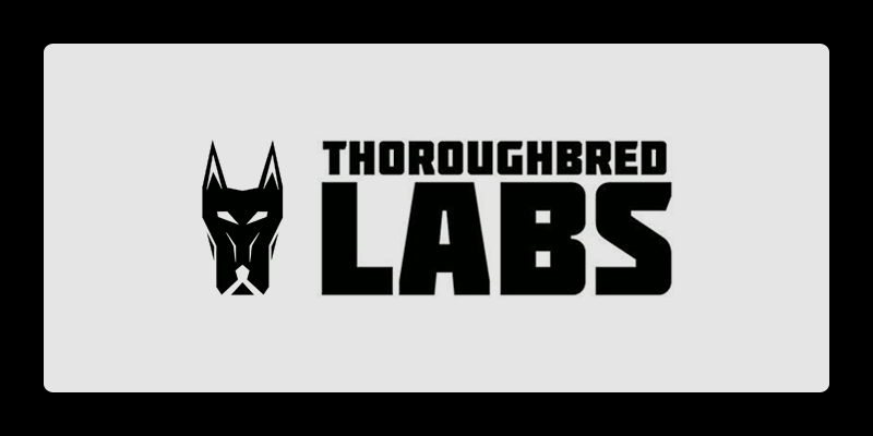 Thoroughbred Labs