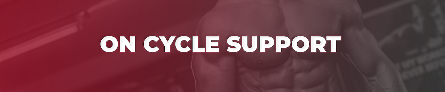 On Cycle Support Supplements | SARMs Cycle Support | SSP UK