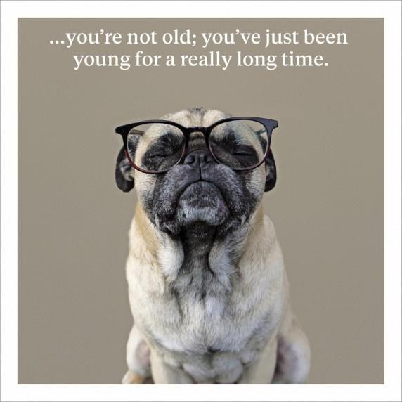 Square card with a pug wear large glasses. Text ' ...You're not old; you've just been young for a really long time.'