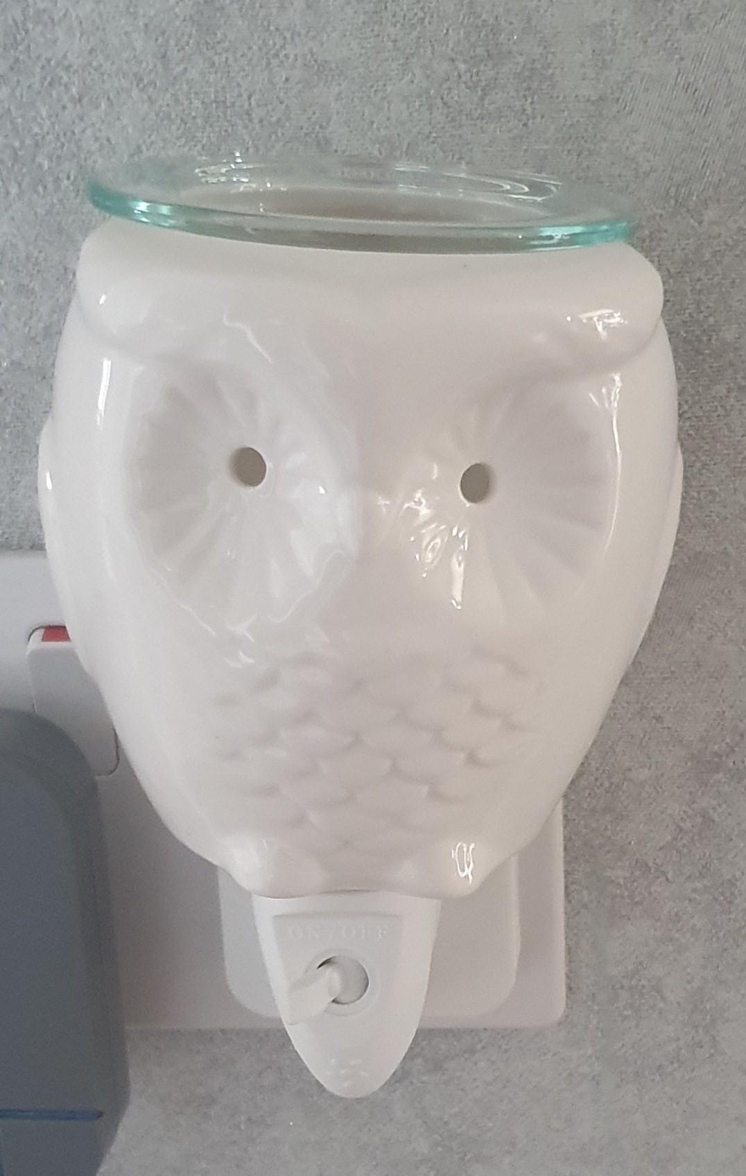 White ceramic owl with small circle cut outs for the eyes, glass tray on top, electric wall plugin.