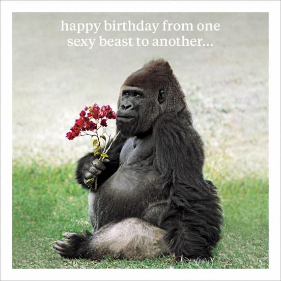 Square card with a big gorilla sitting holding a flower. white text ' happy birthday from one sexy beast to another...'.
