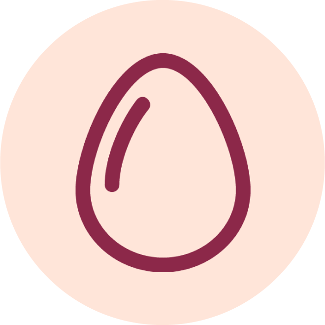 egg-light.png