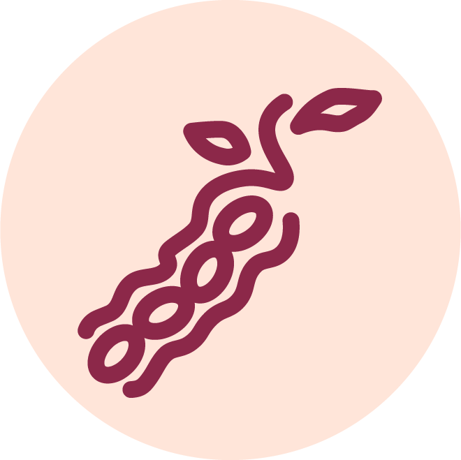 soya.png