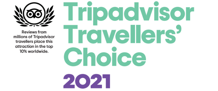 We’re Travellers’ Choice Award Recipients!