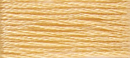 DMC Stranded Cotton Thread - col 19
