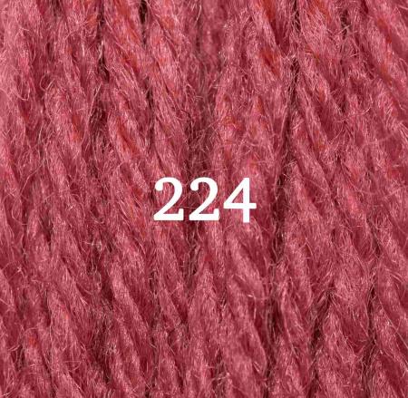 Appletons Crewel Wool (2-ply) Skein -  Bright Terra Cotta 224