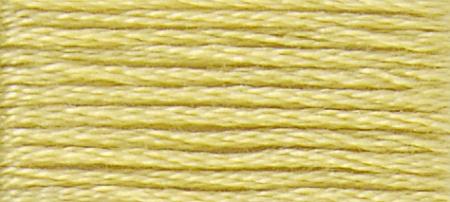 DMC Stranded Cotton Thread - col 17