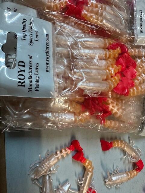ROYD Red tail insect