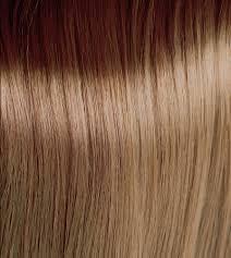 Natural Light Blonde 8.0 hair colour swatch