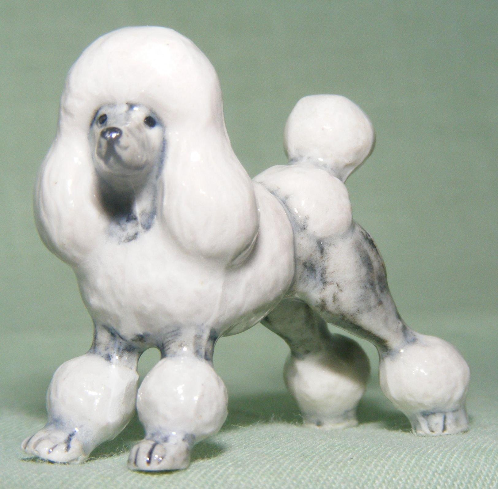 Grey miniature outlet poodle