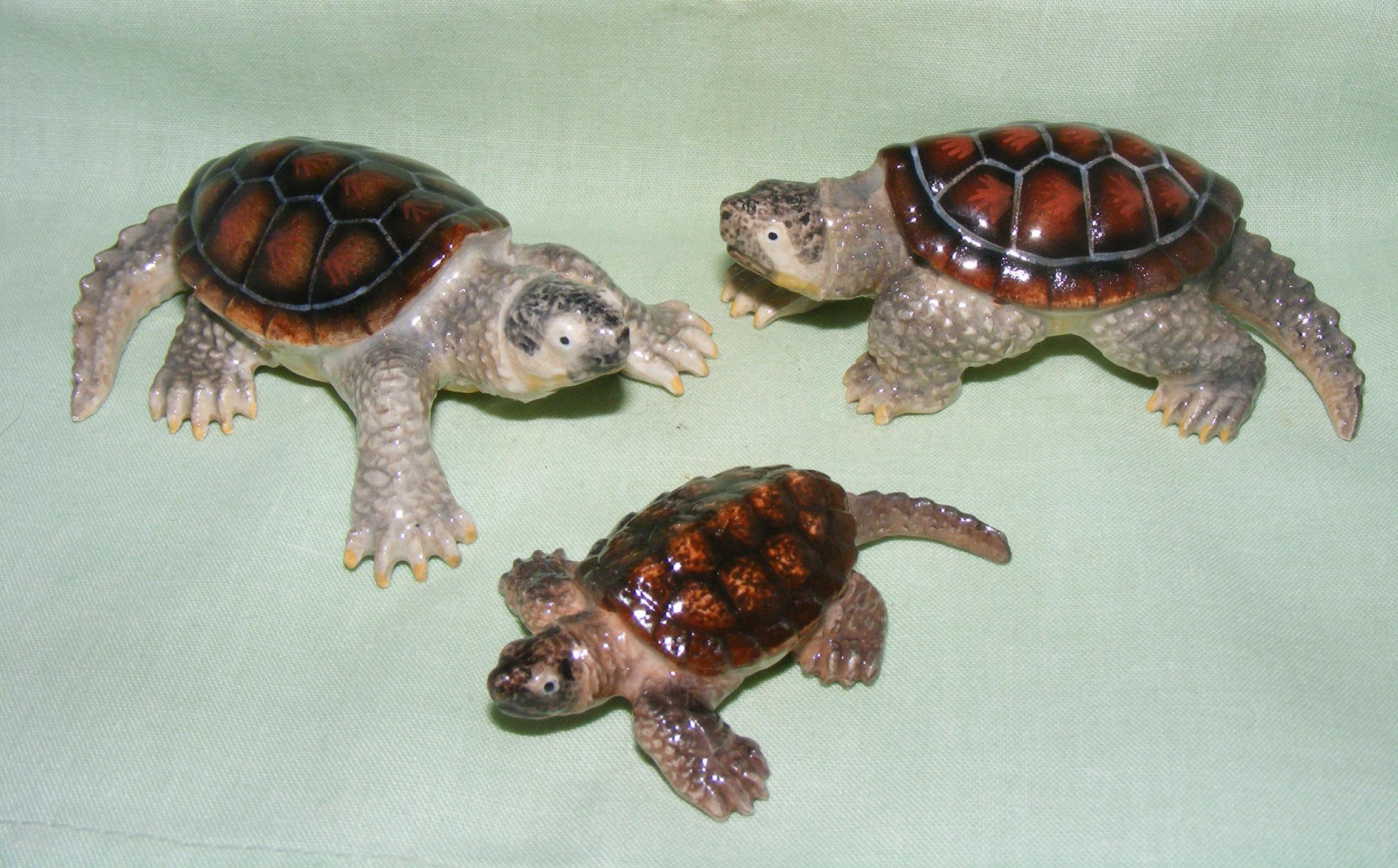 Reptiles, Tortoises & Turtles (K)