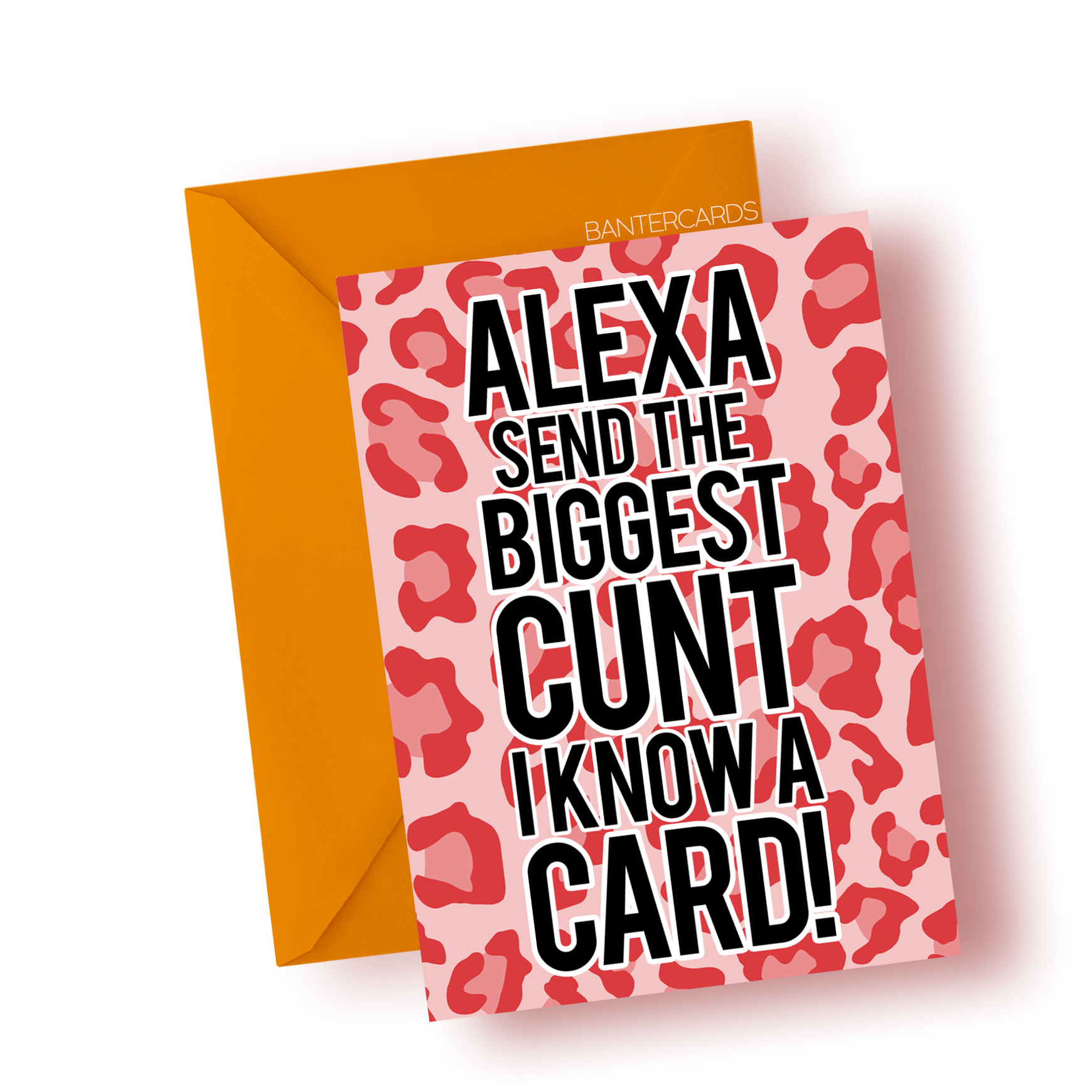 Rude Card Banter Cards Funny Cards