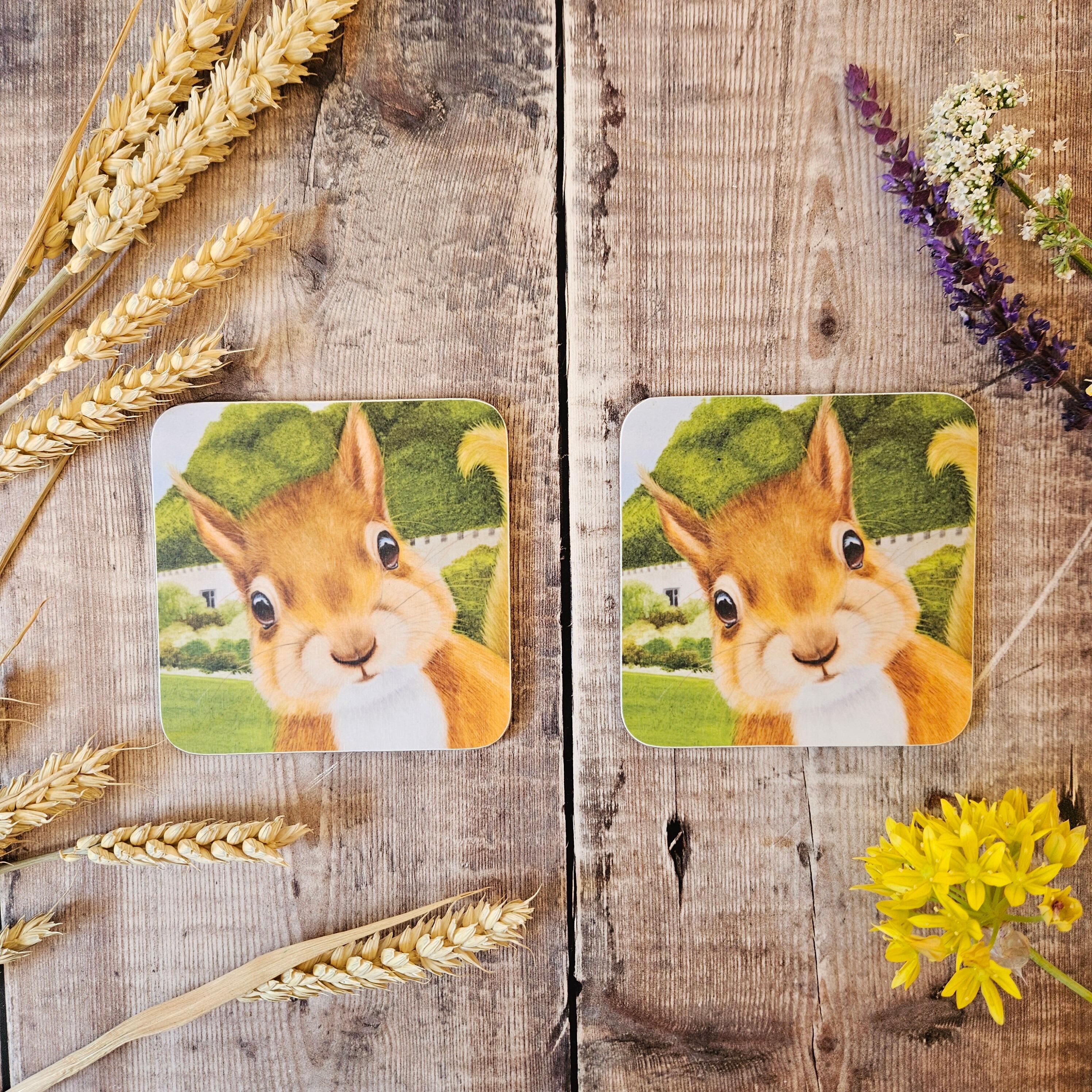 Melamine Coaster Squirrel Selfie at Brownsea Castle Designed