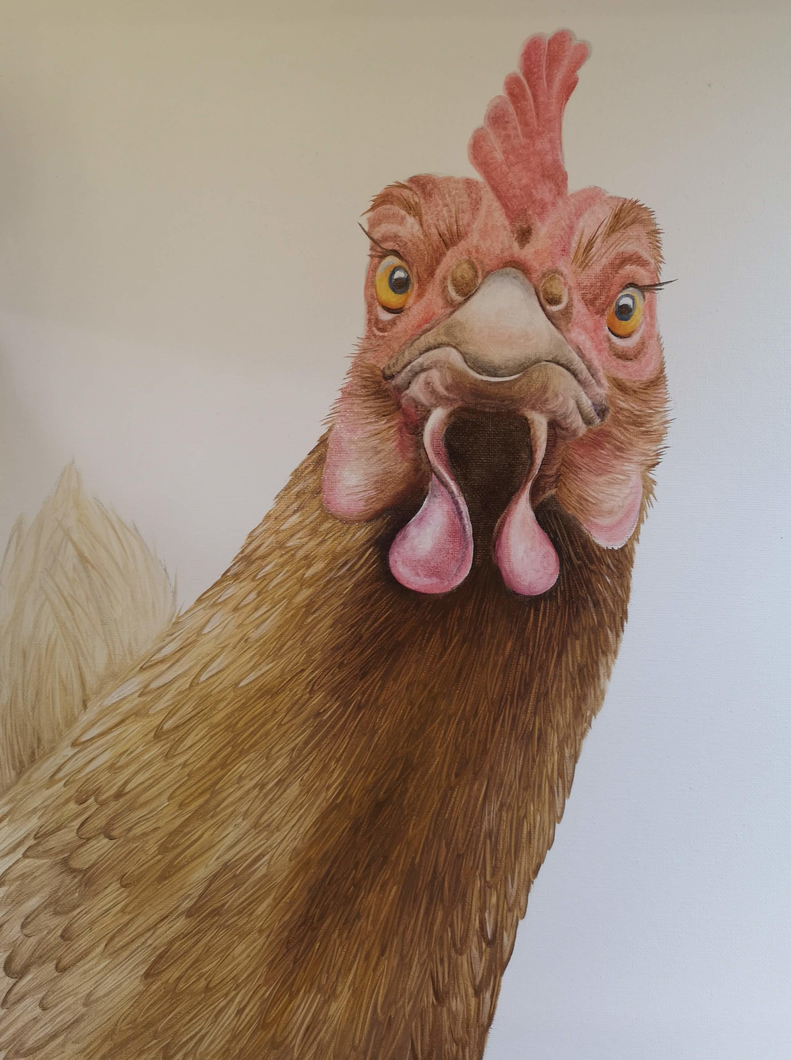 Painting of a Chicken