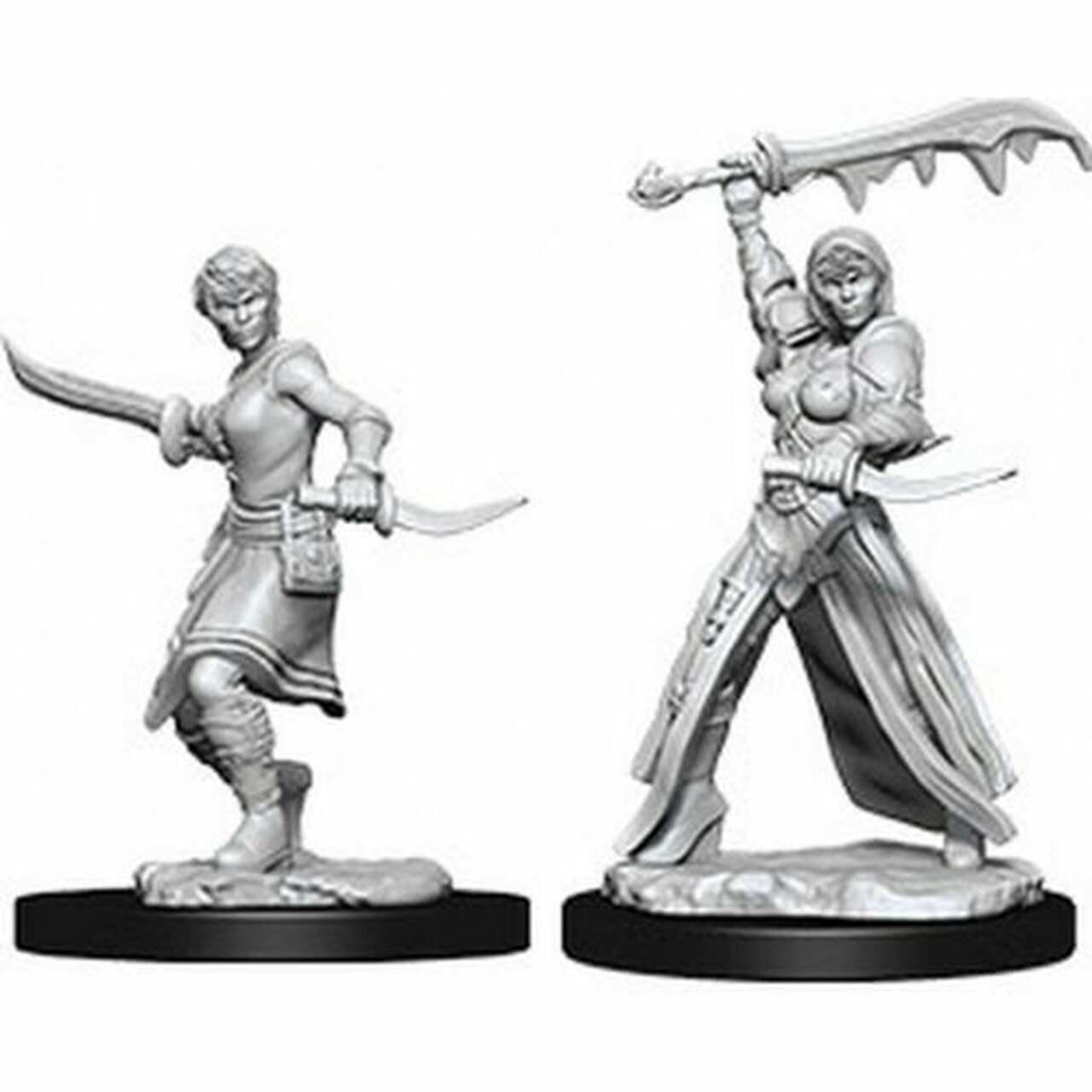 D&D Nolzur's Marvelous Miniatures (Wave 10) - Female Human Rogue thumbnail