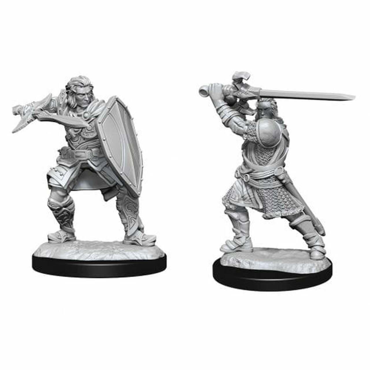 D&D Nolzur's Marvelous Unpainted Miniatures : Male Human Paladin (Wave 14)