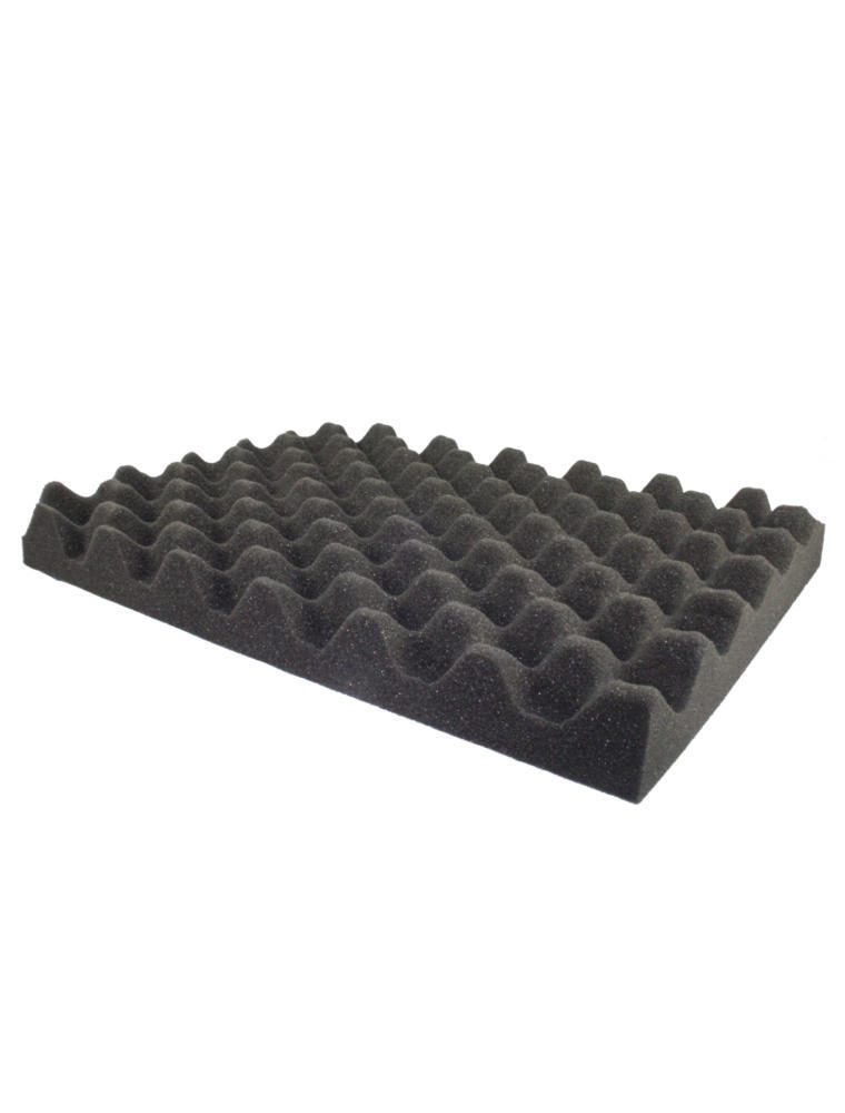 Single  Half Egg Shell Tray - Gifts for Geeks Leicester