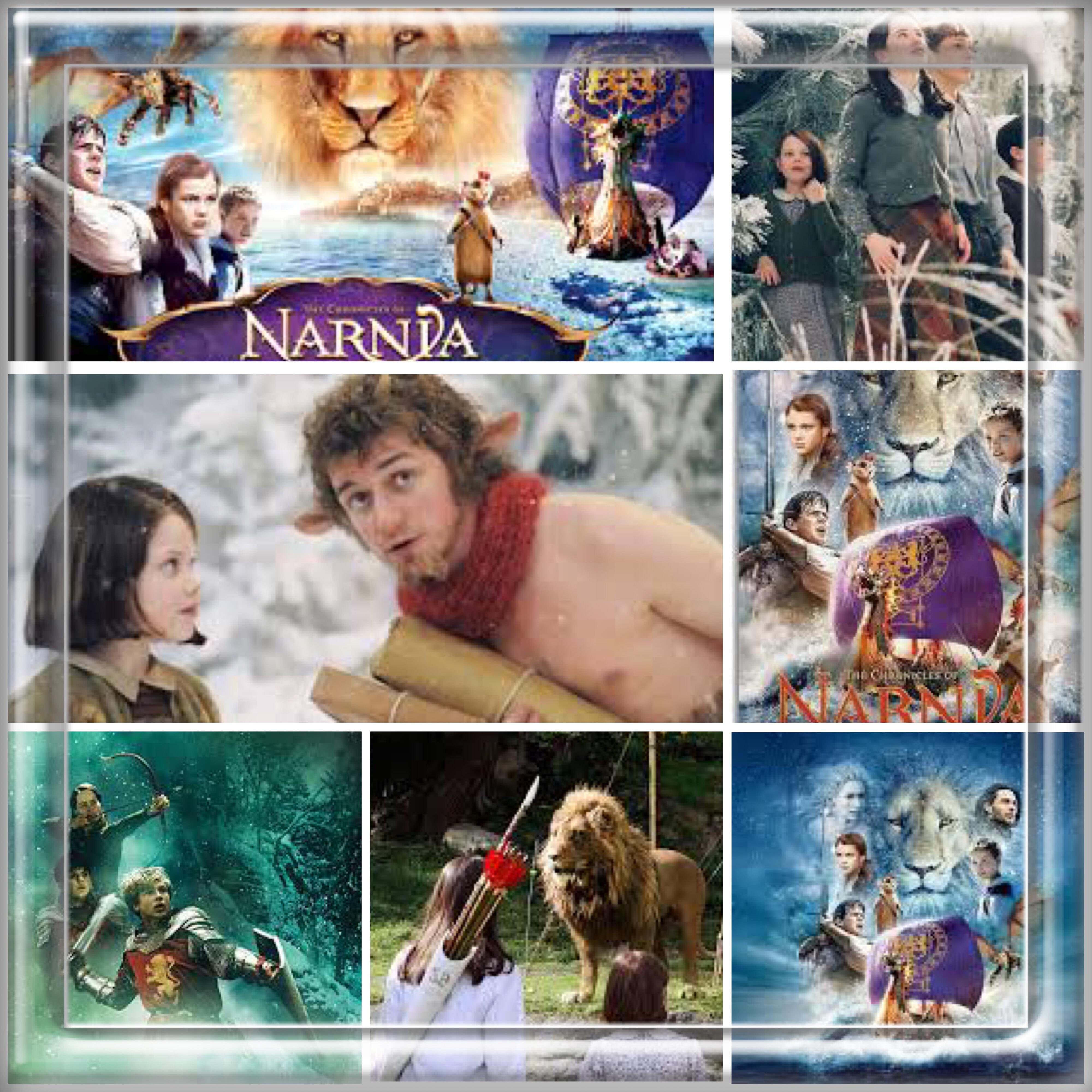 The Four Sundays Of Advent Shawl Box The Chronicles Of Narnia.