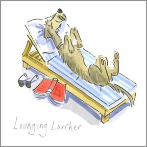 Lounging Lurcher