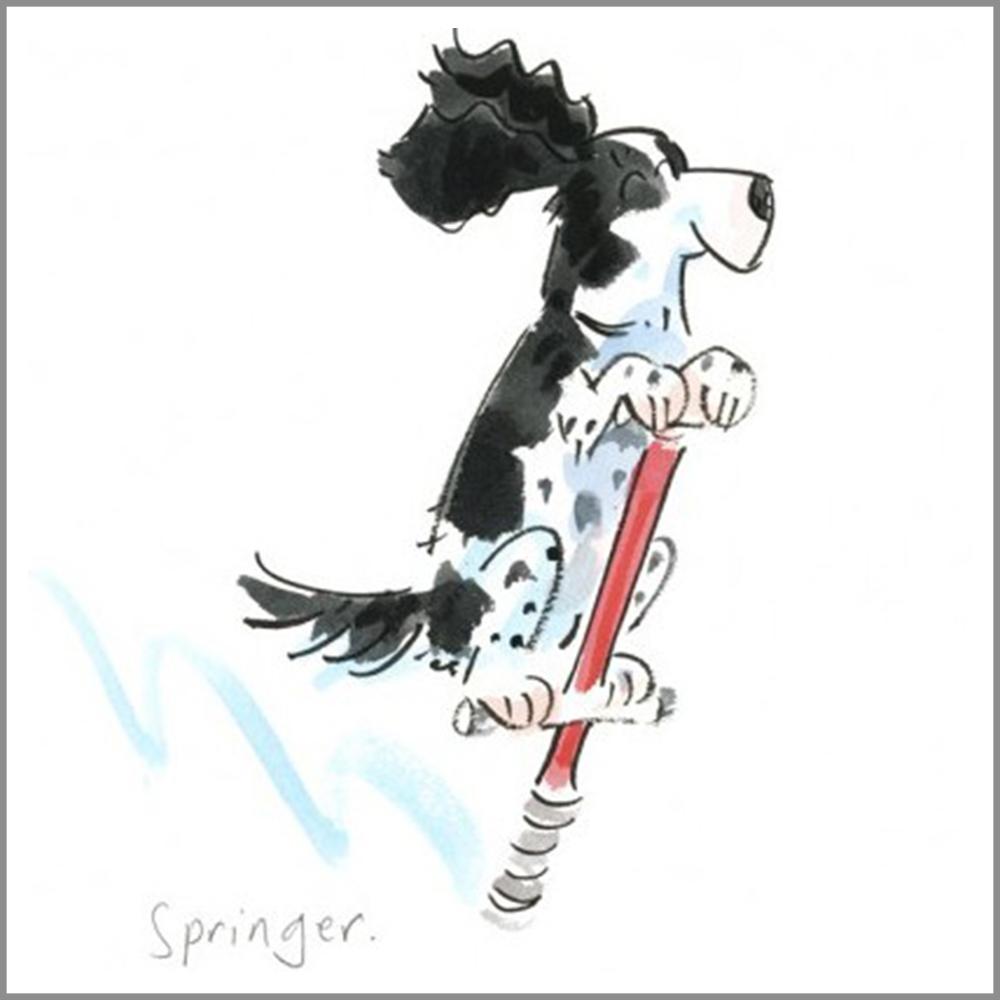 Springer springing