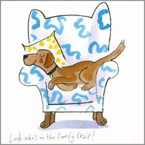 brown dog in a chair