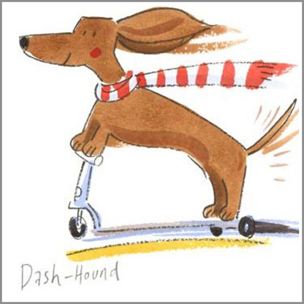 Dash Hound