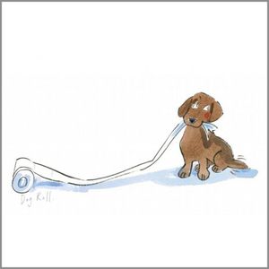 Dog with toilet roll