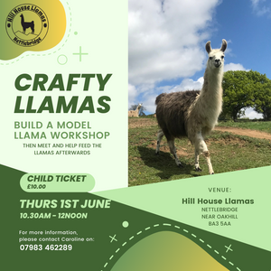 Ticket for the make a model llama workshop