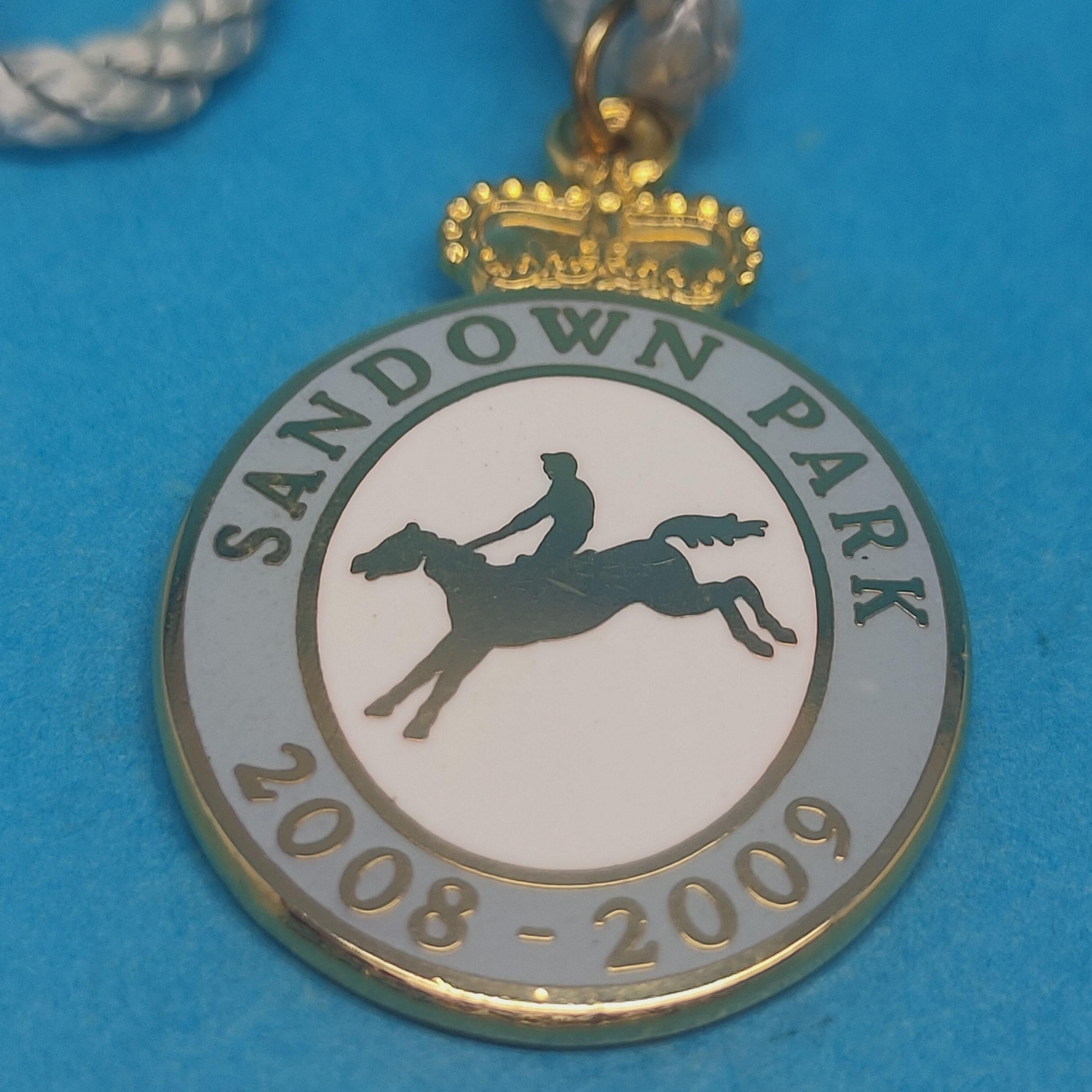Sandown 2008 / 2009 Jumps