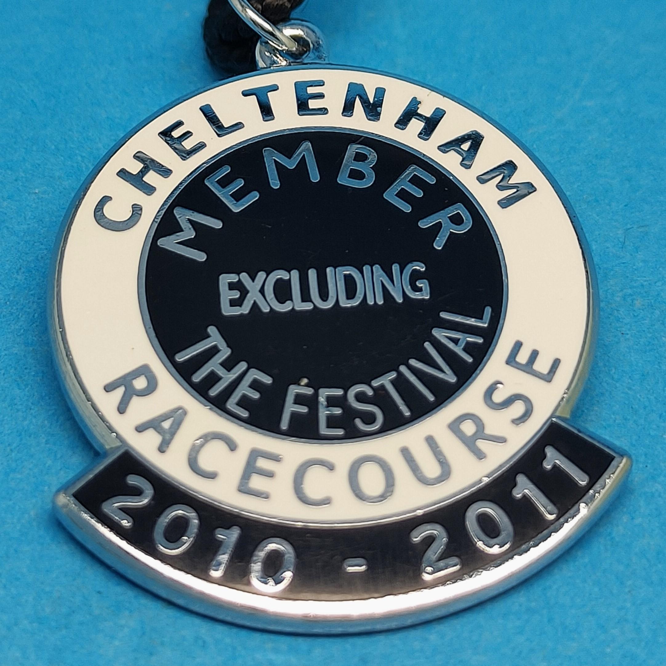Cheltenham Excluding Festival 2010 / 2011