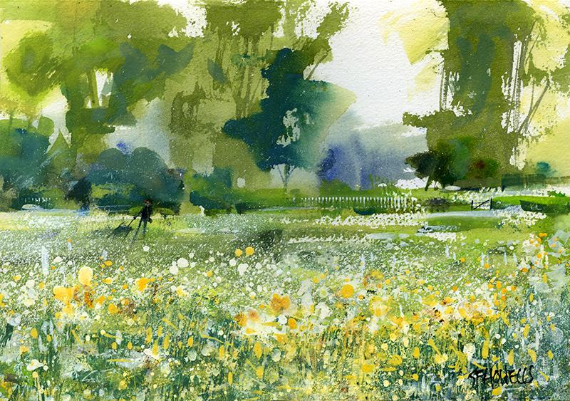 Buttercups and Daisies by Sue Howells - Limited Edition art print
