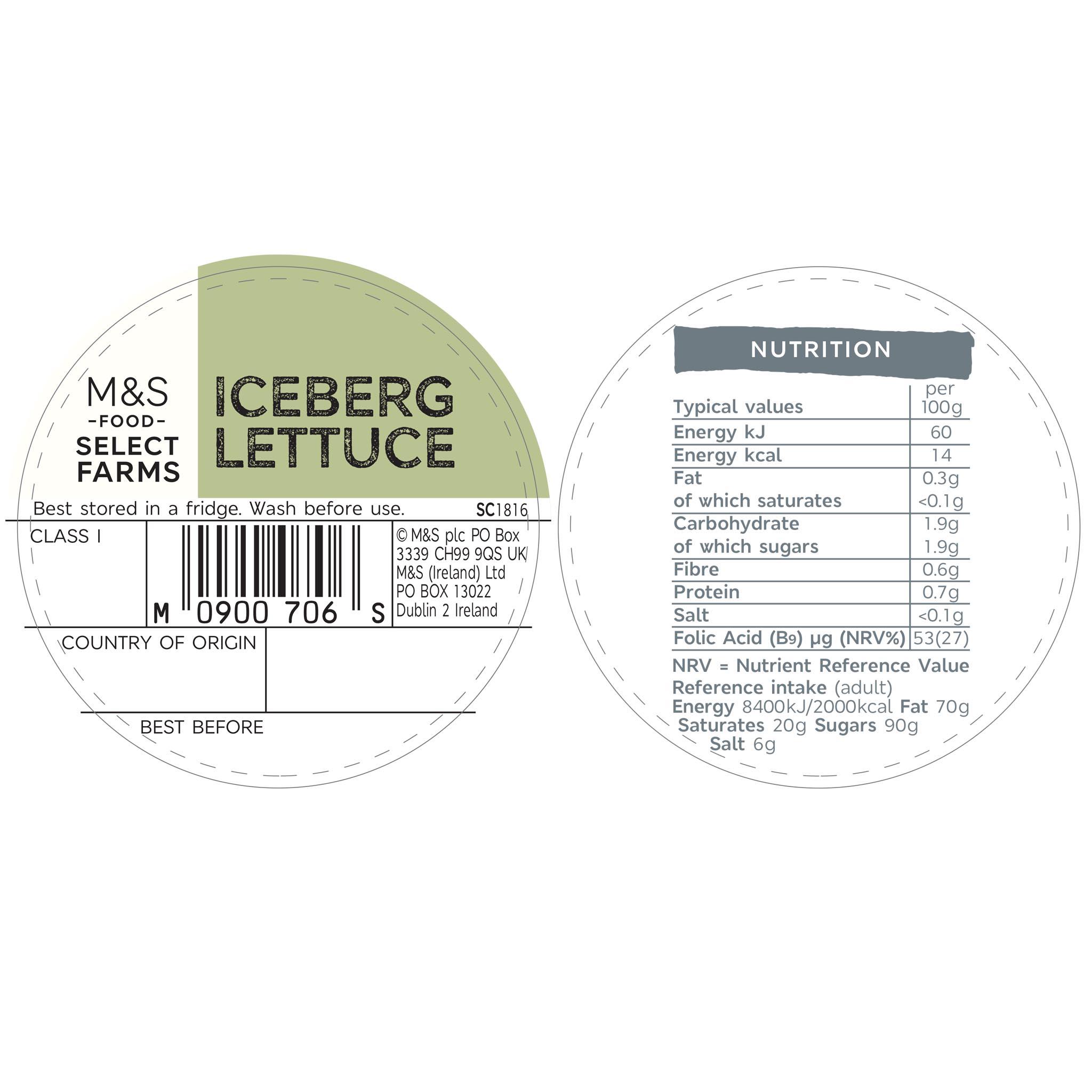 Iceberg Whole Lettuce x 1 Label