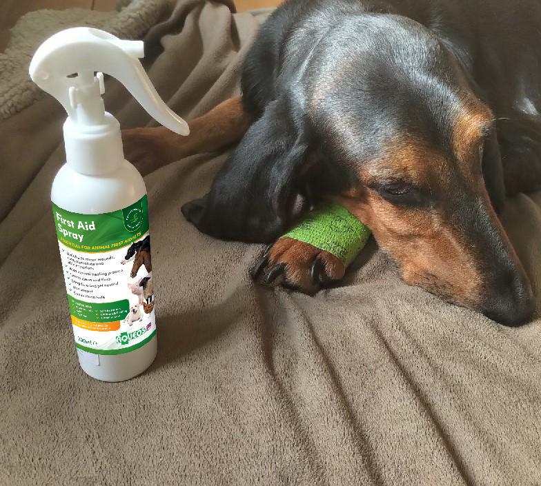 Aqueos First Aid Spray for Dogs