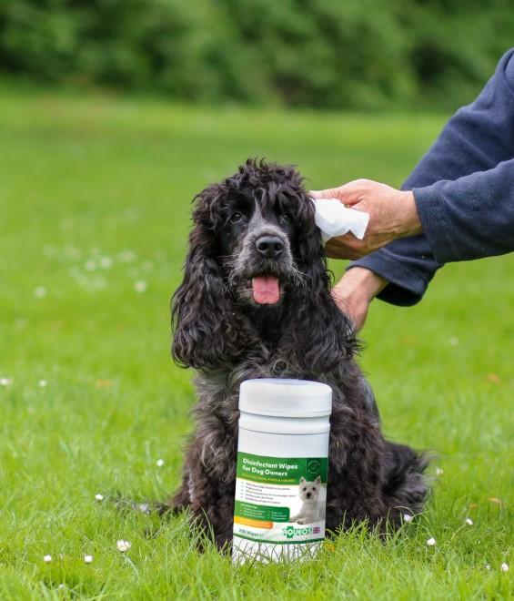Dosinfectant wipes for smelly dogs
