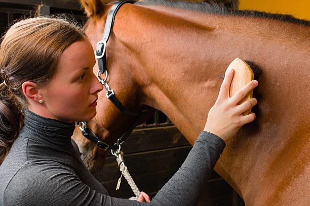 Aqueos - Grooming Your Horse:  10 Things You'll Need