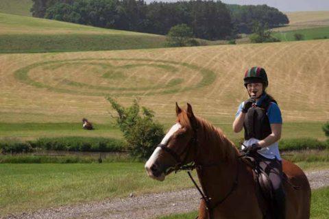 Equine Business Consultancy - Equine Farm Diversification – UK Riding Holidays