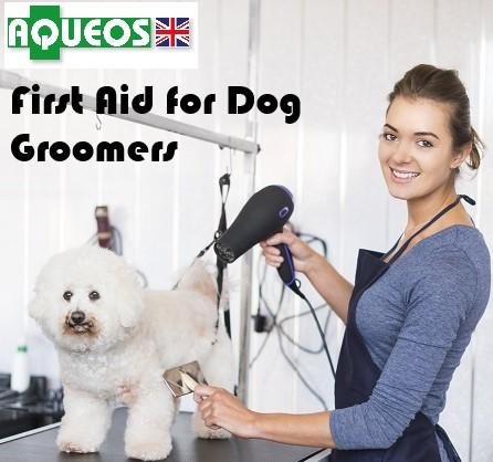 First Aid for Dog Groomers