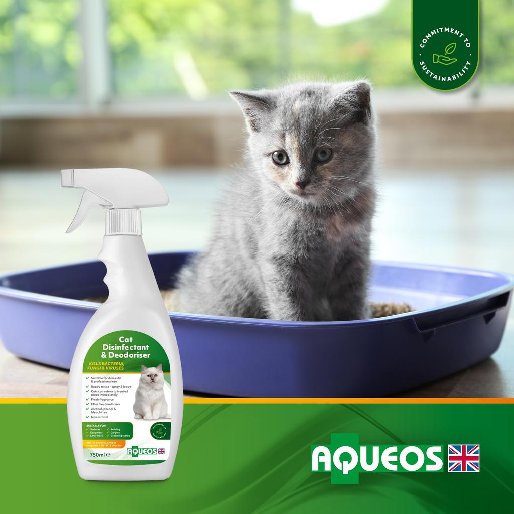 Why it s important to clean your cat s litter tray Aqueos