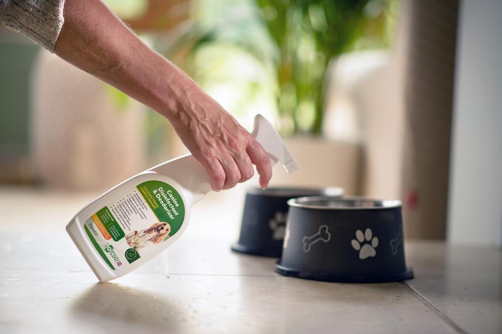 AQUEOS - How to choose which disinfectant to use around dogs and puppies